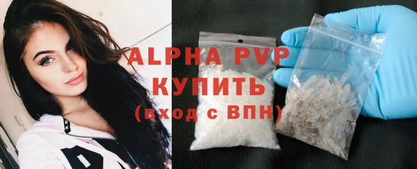 прущий лед Дмитриев