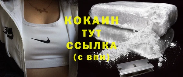 прущий лед Дмитриев