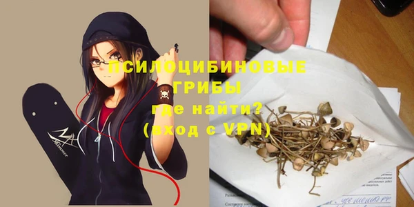 соль курить ск Дмитровск