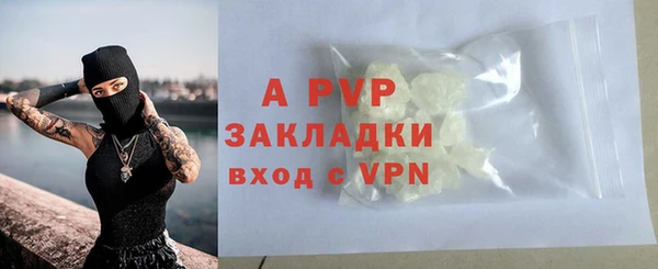 прущий лед Дмитриев