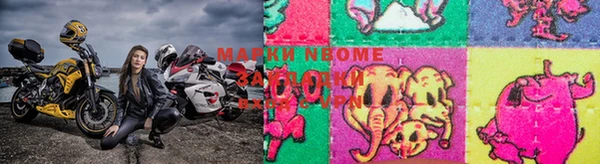 прущий лед Дмитриев