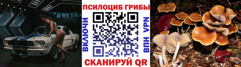 Купить закладки  Нариманов  Псилоцибиновые грибы мухоморы 